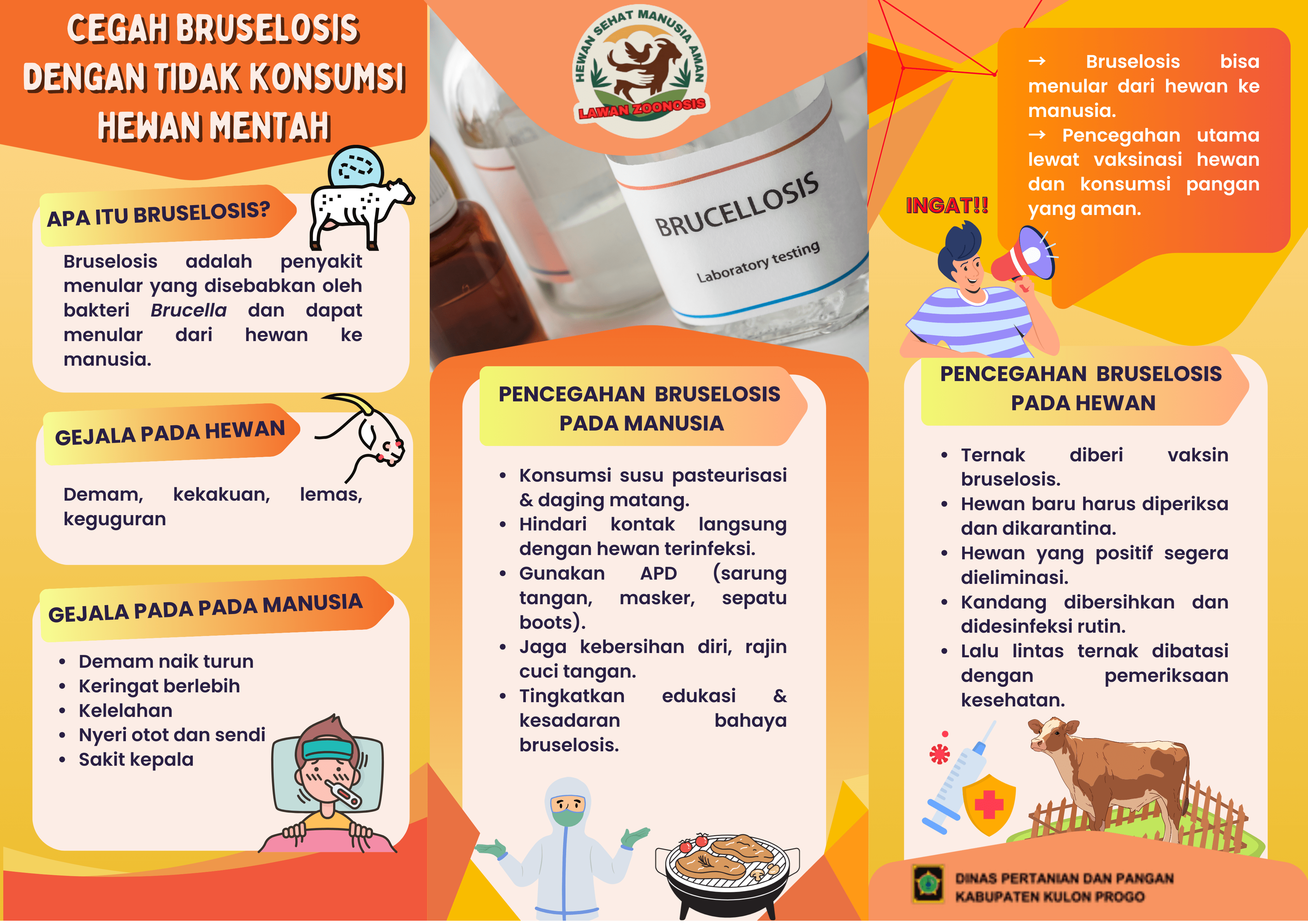 Bruselosis Penyakit Zoonosis Penyebab Keguguran Pada Manusia dan Hewan